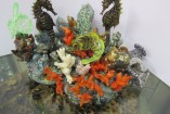 Seahorses on a coral and Blue spotted Jawfish